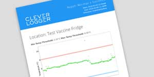CleverLogger Report