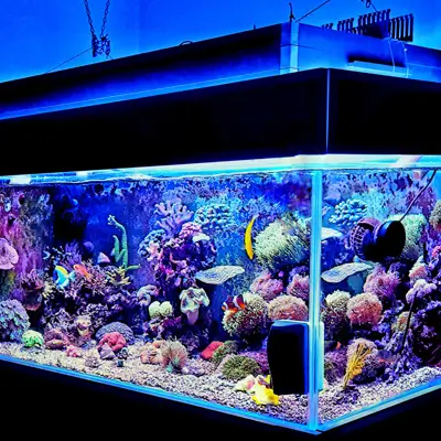 Aquarium