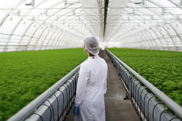 Clever Logger Humidity Logger Uses