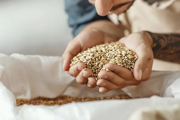 Clever Logger Humidity Logger Uses